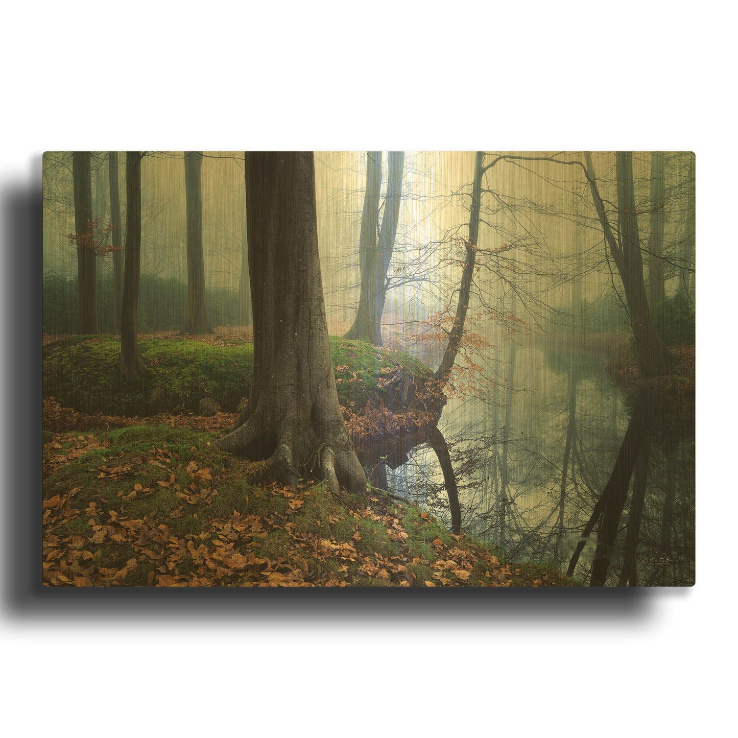 'Creepy Outside World' By Martin Podt Gold Metal Wall Art