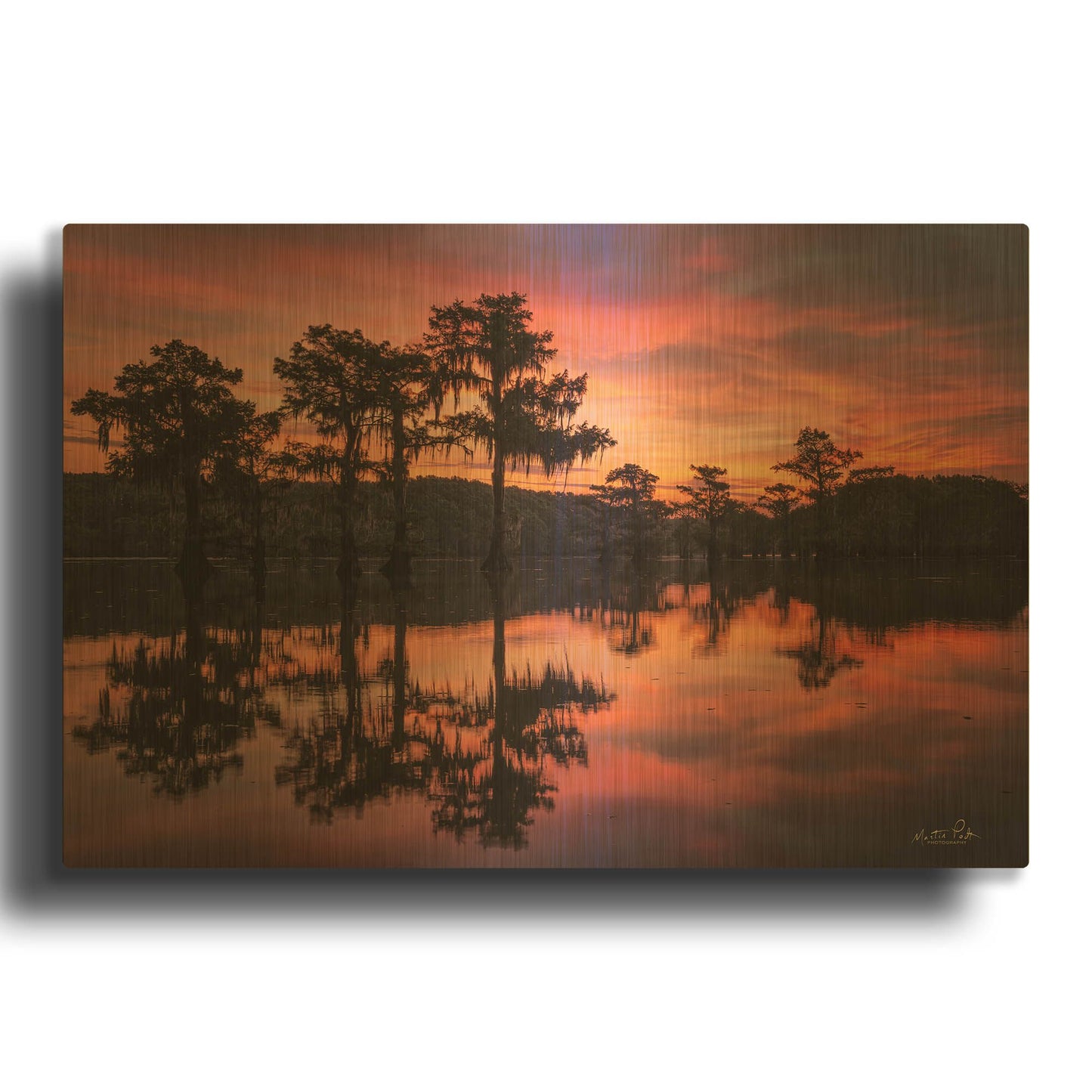 'Swamp on Fire' By Martin Podt Gold Metal Wall Art