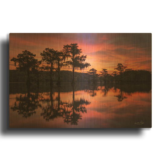 'Swamp on Fire' By Martin Podt Gold Metal Wall Art