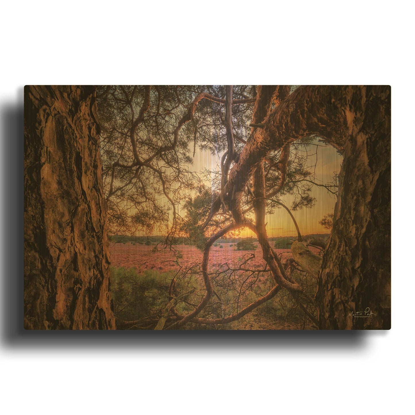 'In Between' By Martin Podt Gold Metal Wall Art