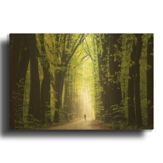 'Among Giants in Springtime' By Martin Podt Gold Metal Wall Art