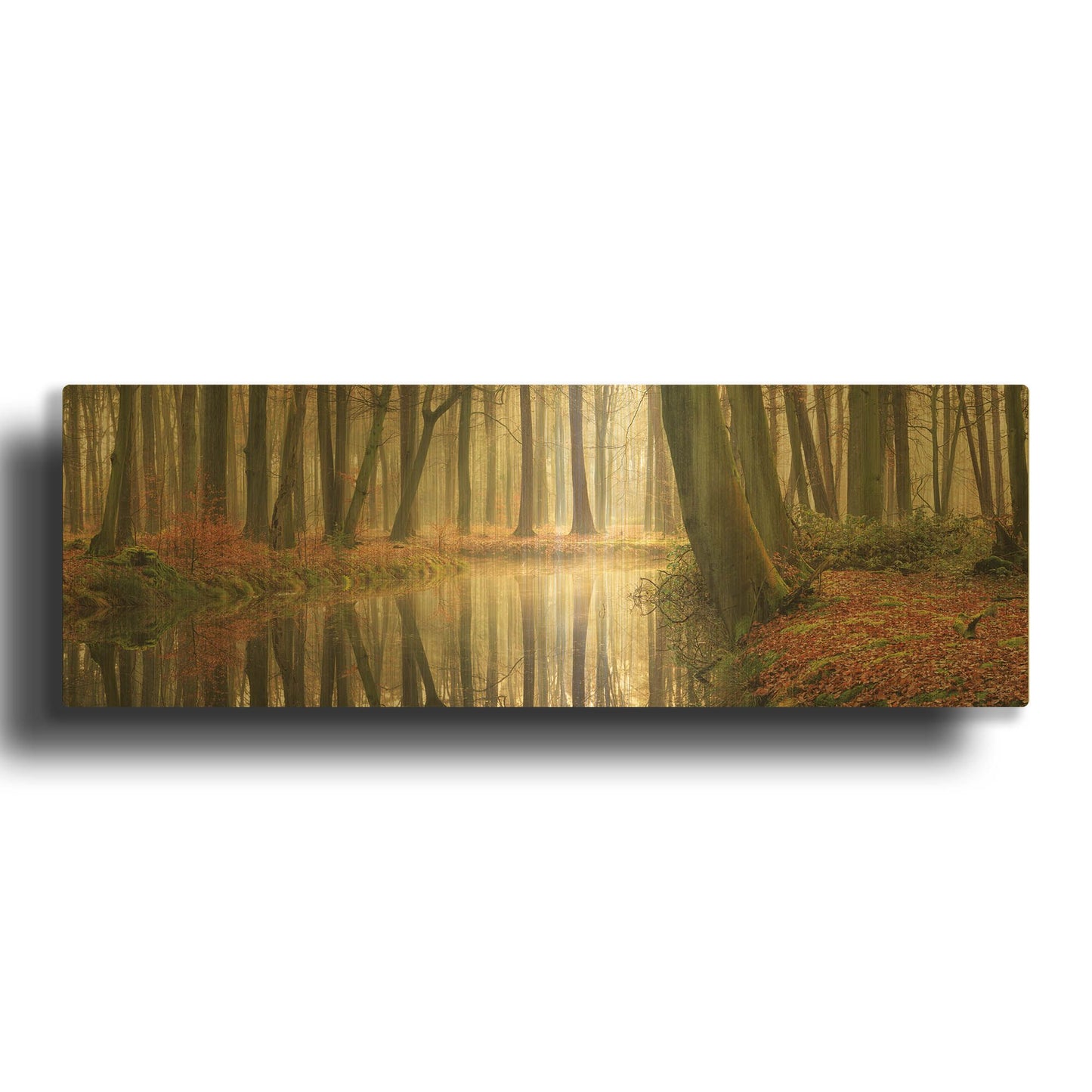 'The Healing Power of Forests' By Martin Podt Gold Metal Wall Art