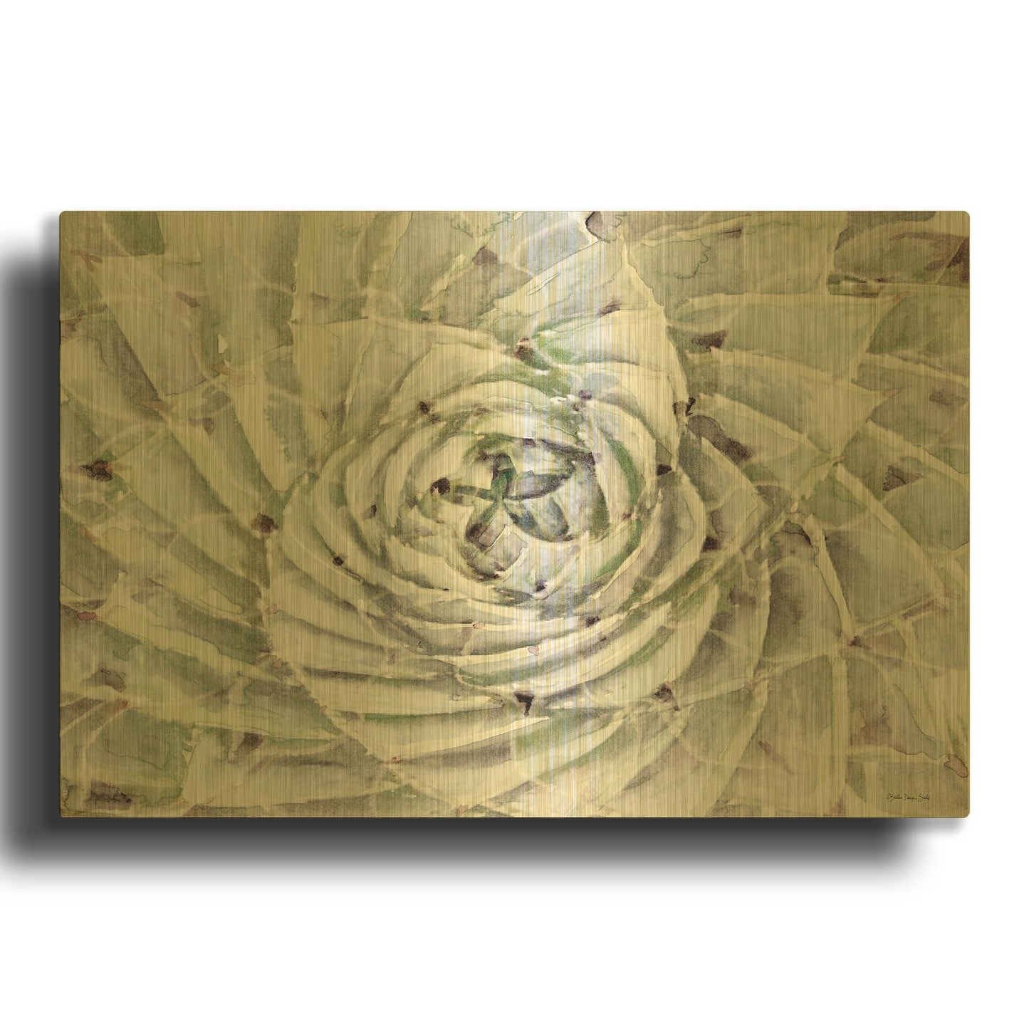 'Succulent Macro' By Stellar Design Studio Gold Metal Wall Art