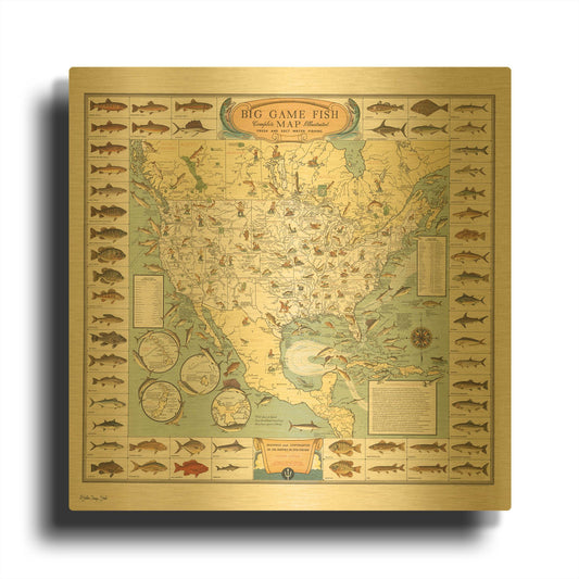 'Big Game Fish Map' By Stellar Design Studio Gold Metal Wall Art