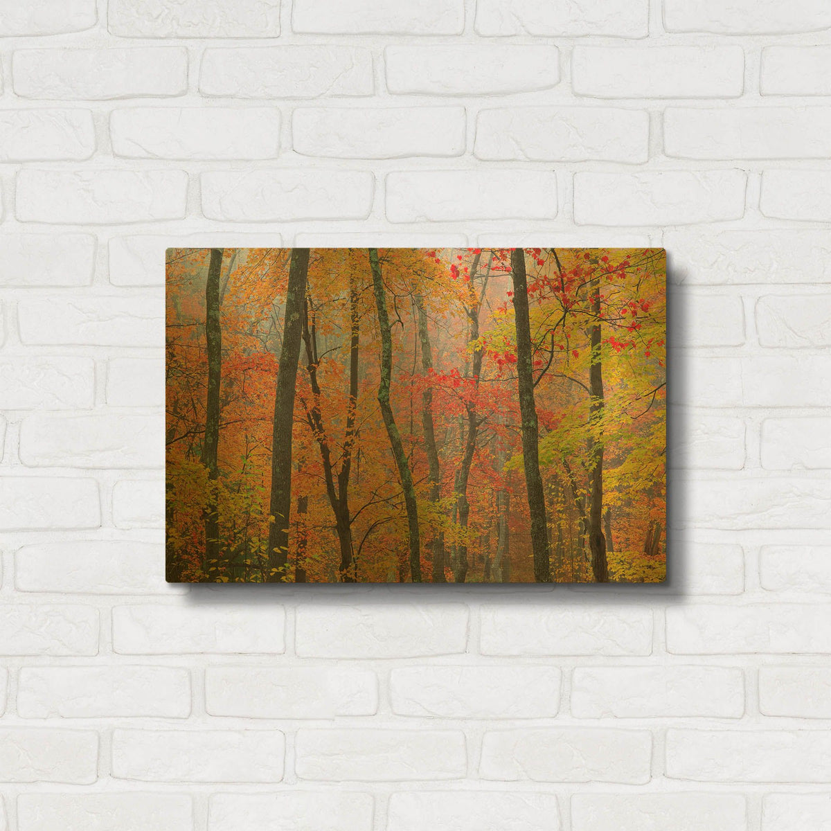 'Autumn Colors' By Patrick Zephyr Gold Metal Wall Art