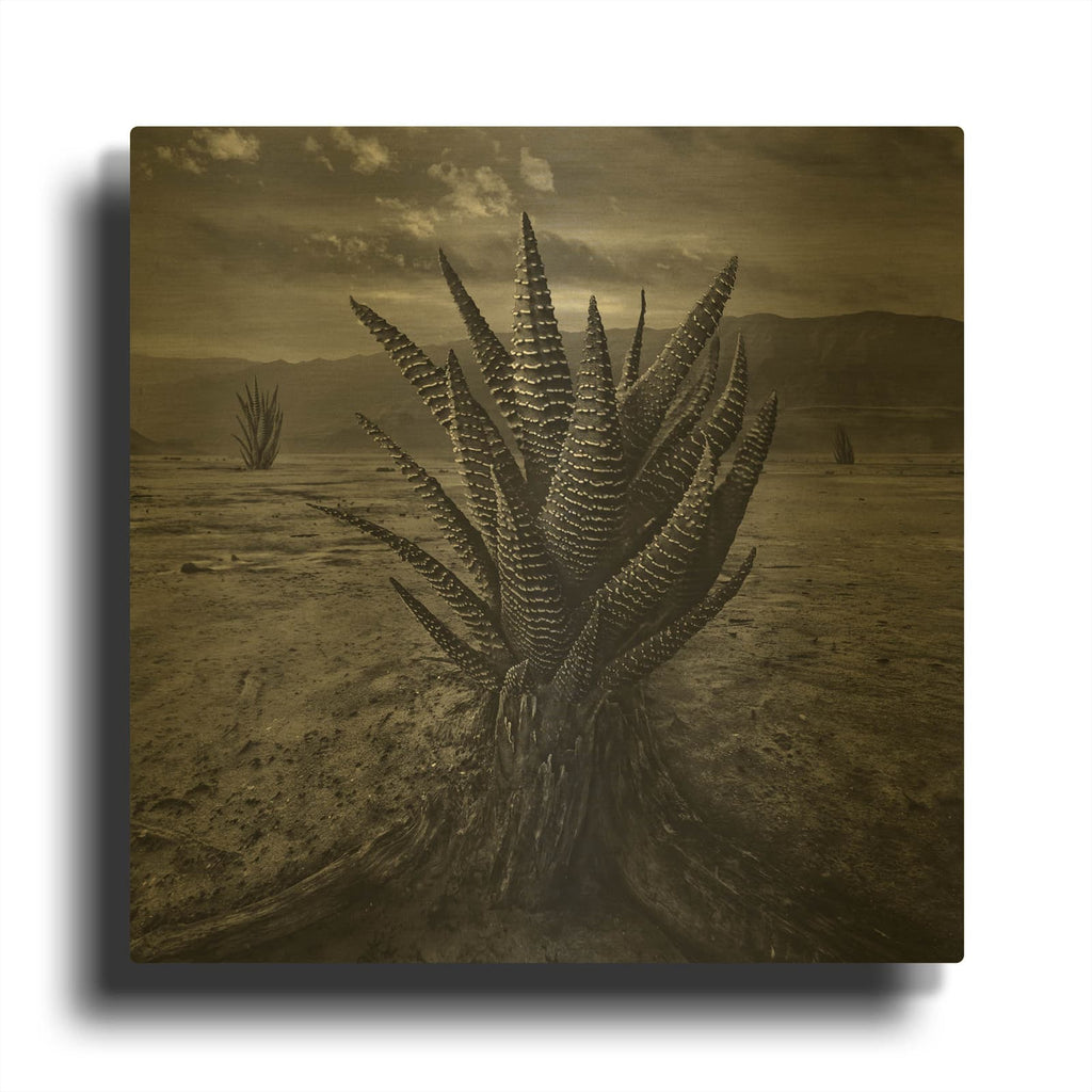 'Cactus' By Dariusz Klimczak Gold Metal Wall Art