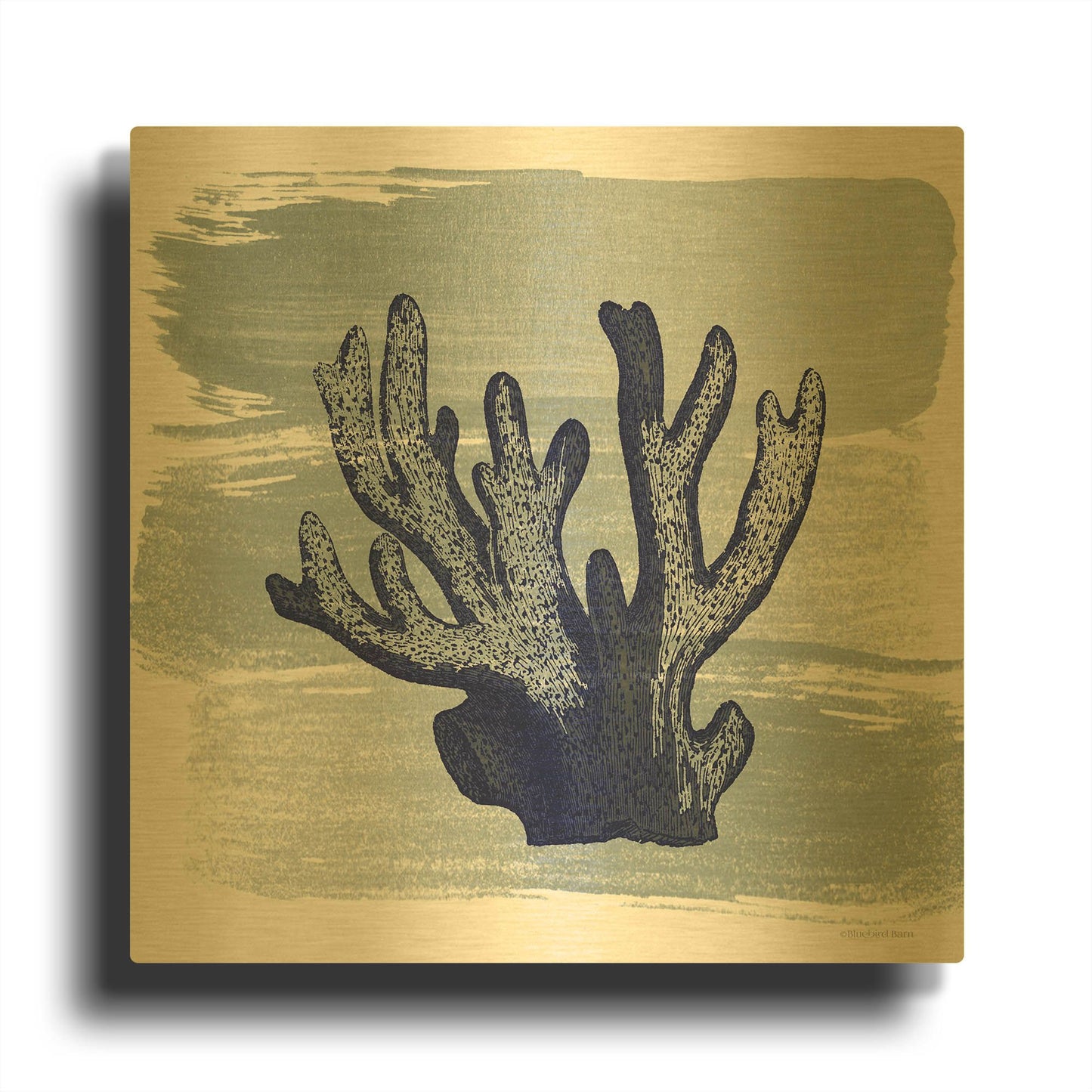'Brushed Midnight Blue Elkhorn Coral' By Bluebird Barn Gold Metal Wall Art