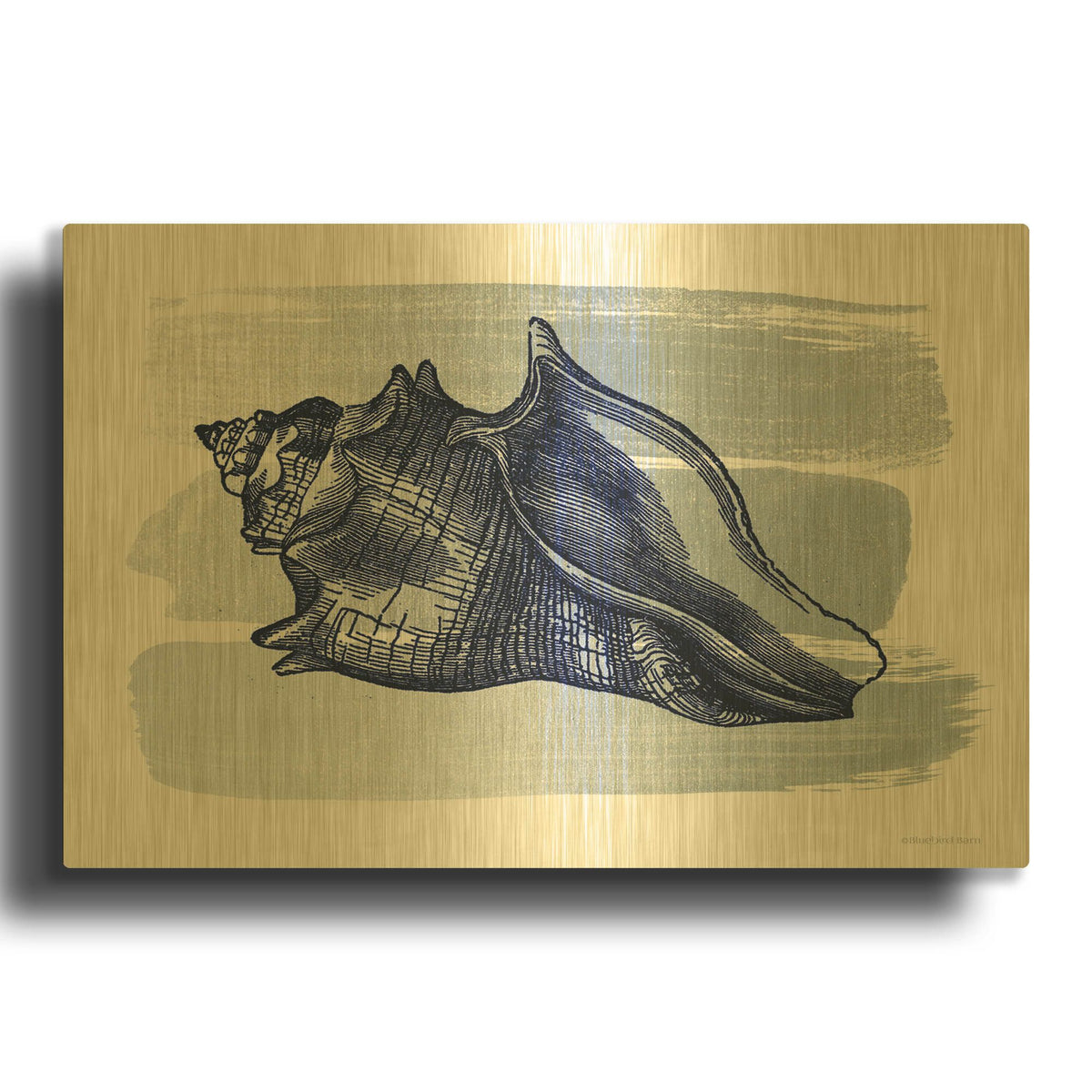 'Brushed Midnight Blue Seashell' By Bluebird Barn Gold Metal Wall Art