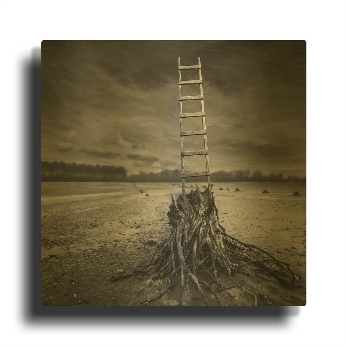 'Drabinka' By Dariusz Klimczak Gold Metal Wall Art