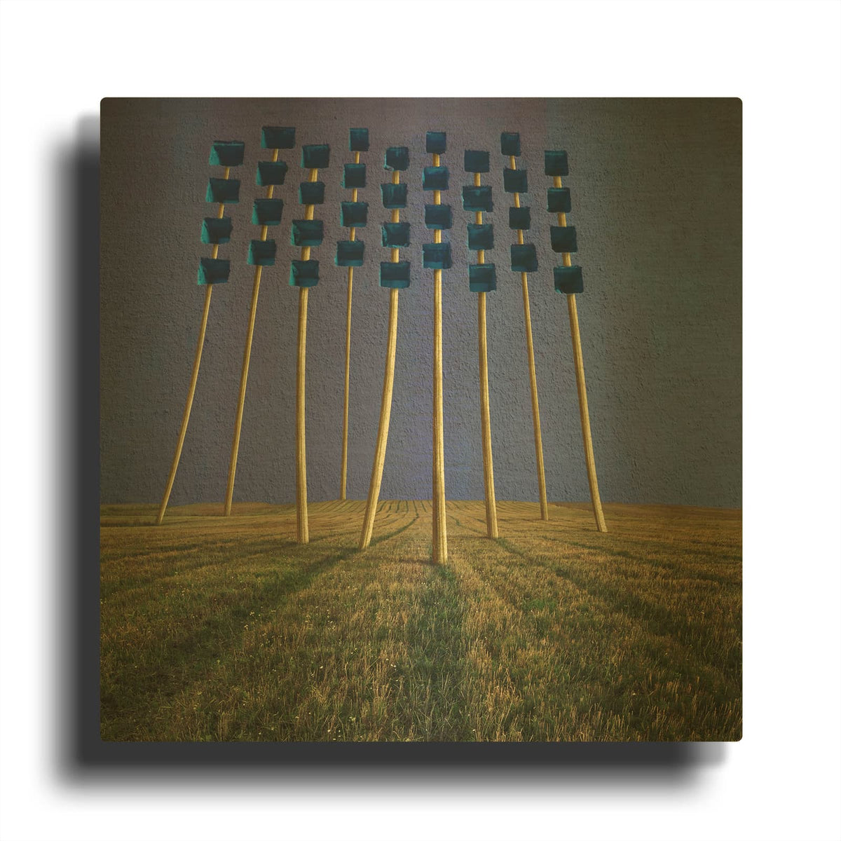 'Flowers' By Dariusz Klimczak Gold Metal Wall Art
