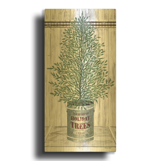 'Galvanized Pot Cedar' By Cindy Jacobs Gold Metal Wall Art