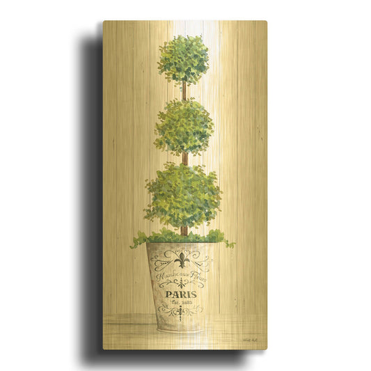 'Topiary Paris' By Cindy Jacobs Gold Metal Wall Art