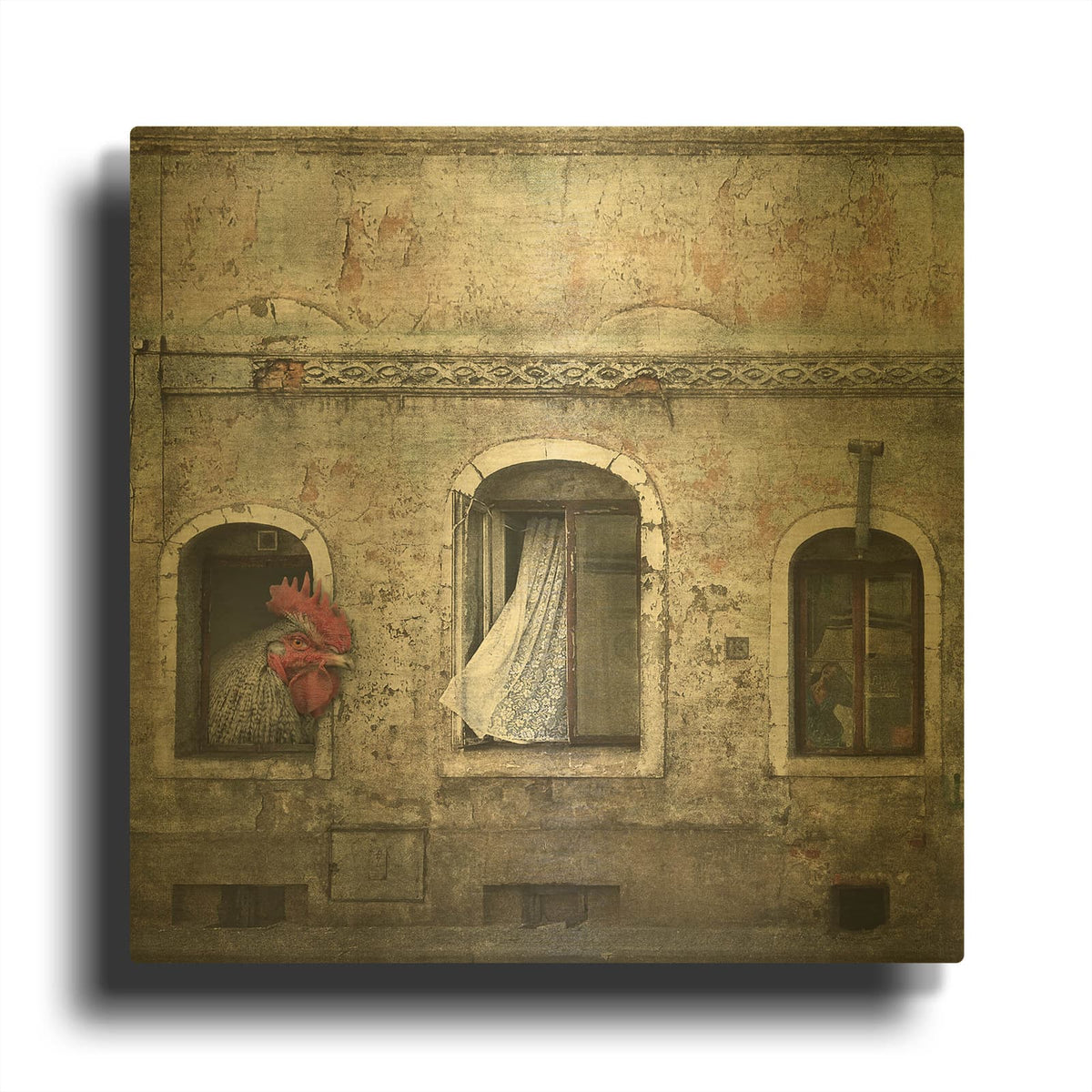 'Kogut Domowy' By Dariusz Klimczak Gold Metal Wall Art