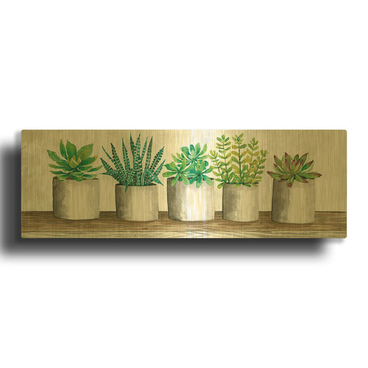 'Succulent Pots' By Cindy Jacobs Gold Metal Wall Art