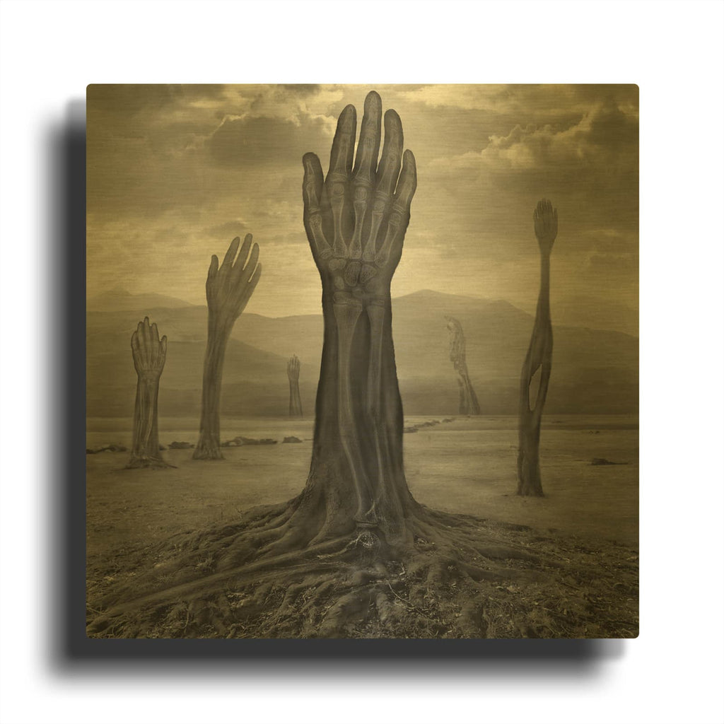 'Rentgen' By Dariusz Klimczak Gold Metal Wall Art