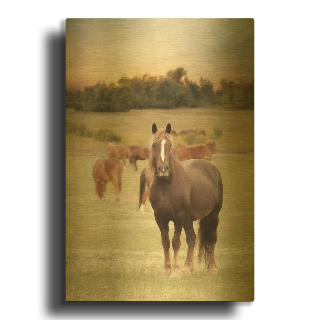 'Jackson Horse Farm' By Lori Deiter Gold Metal Wall Art