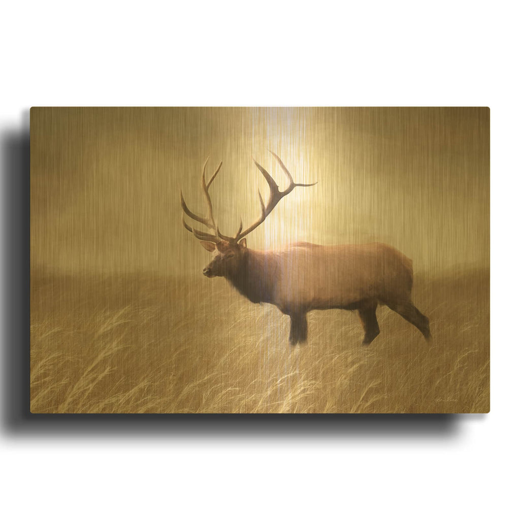 'Elk in the Field' By Lori Deiter Gold Metal Wall Art