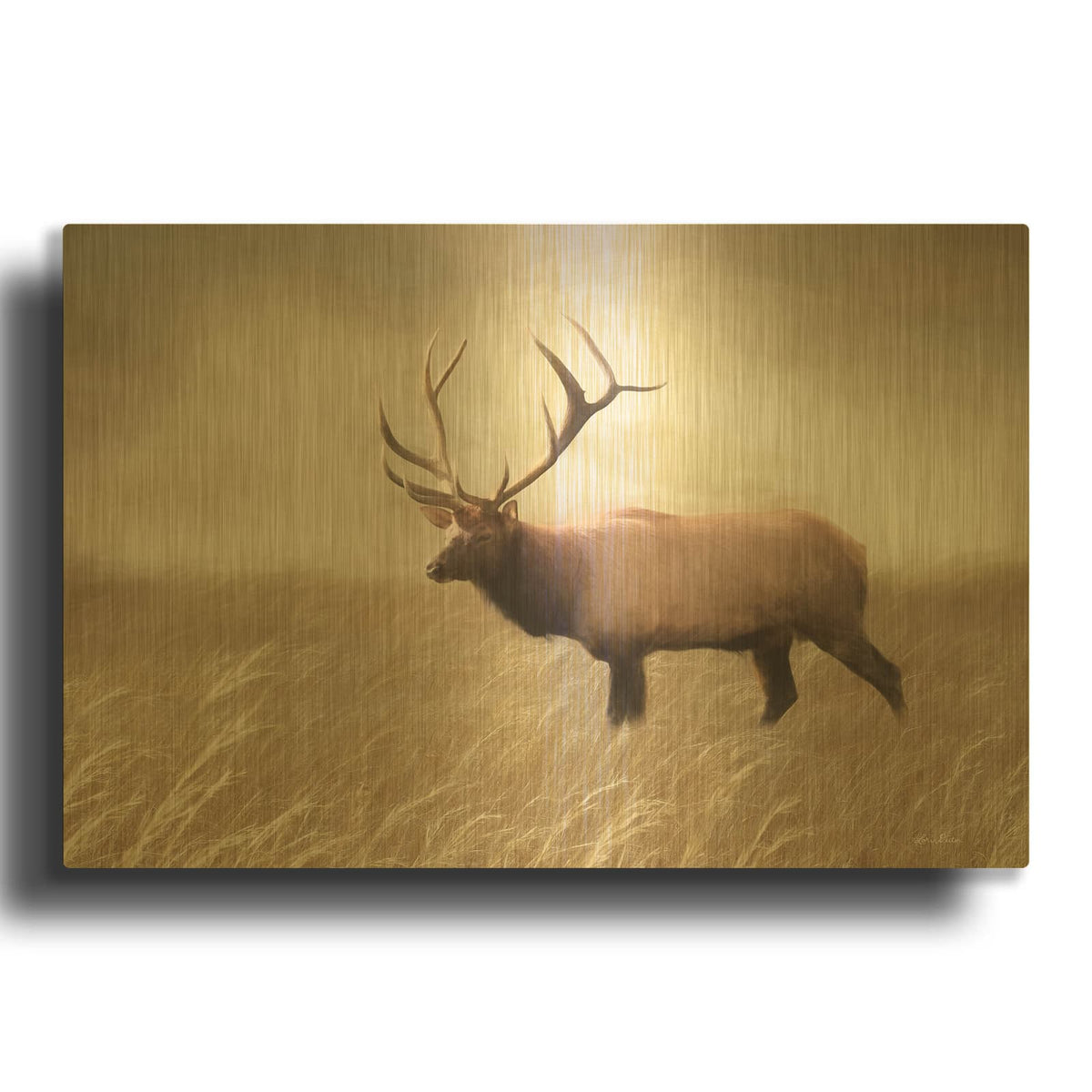 'Elk in the Field' By Lori Deiter Gold Metal Wall Art