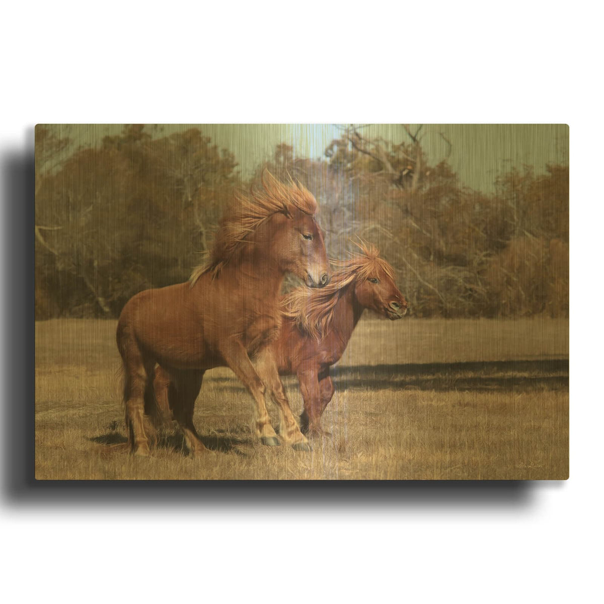 'Assateague Horses I' By Lori Deiter Gold Metal Wall Art