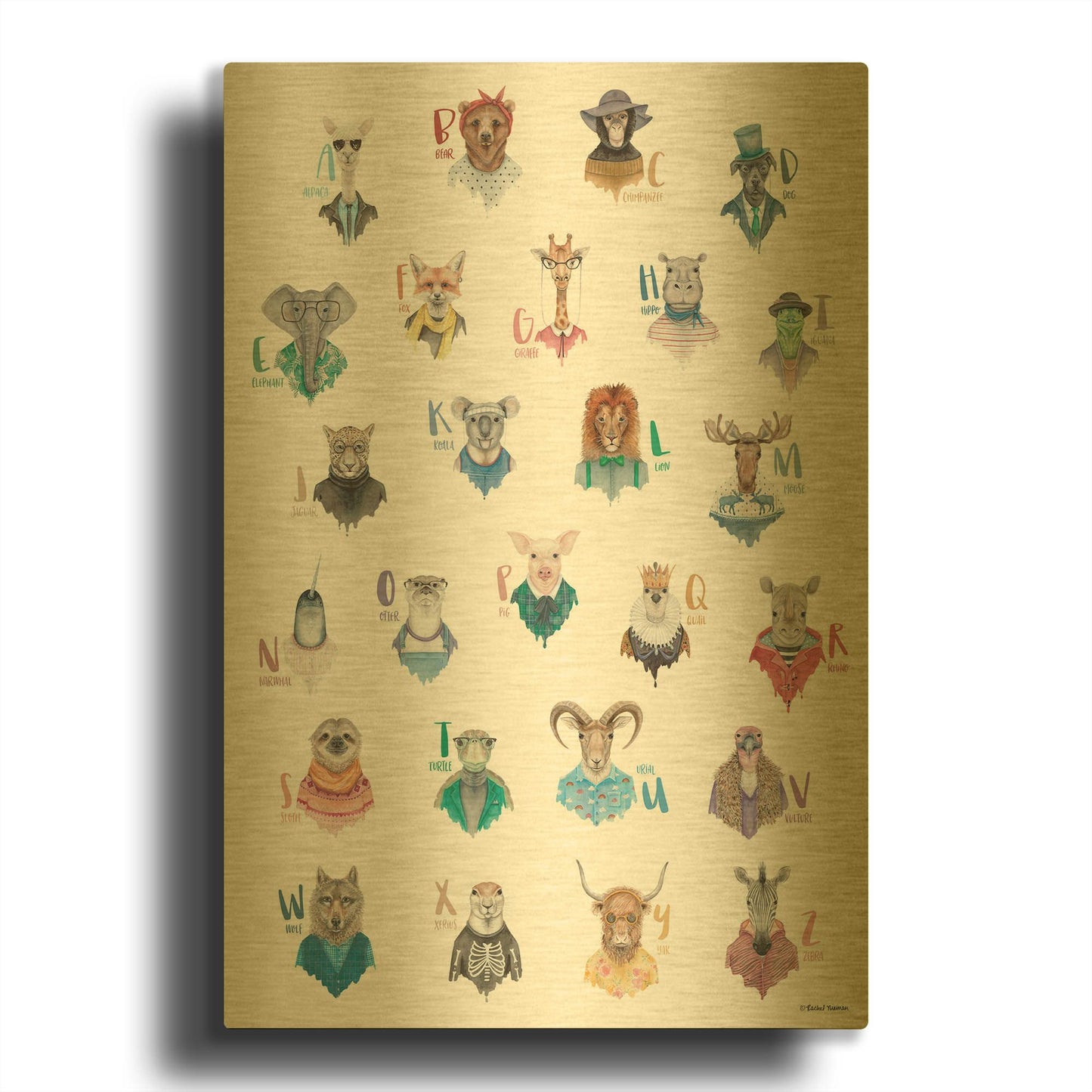 'Animal Alphabet Poster' By Rachel Nieman Gold Metal Wall Art