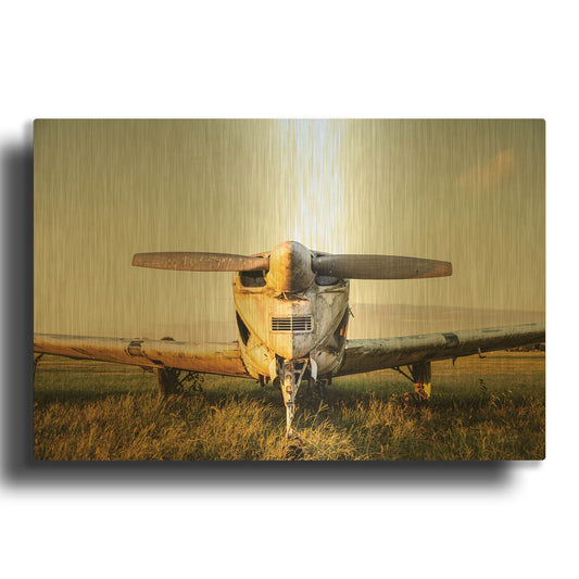 'Last Flight I Hold' By Donnie Quillen Gold Metal Wall Art