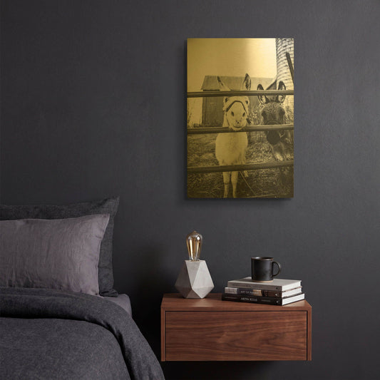 'Donkeys' By Donnie Quillen Gold Metal Wall Art