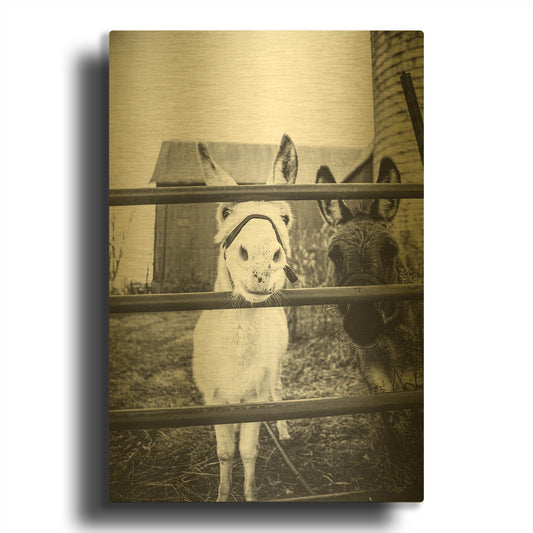 'Donkeys' By Donnie Quillen Gold Metal Wall Art