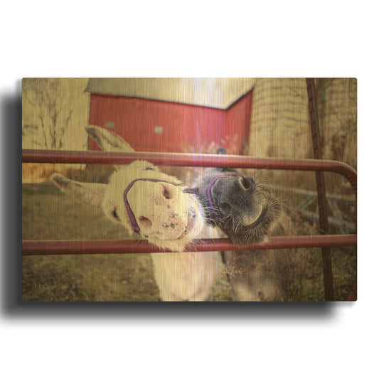 'Hey Donkeys II' By Donnie Quillen Gold Metal Wall Art