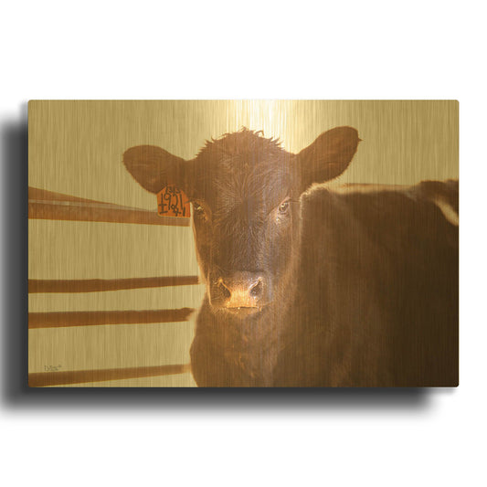 'Baby Cow II' By Donnie Quillen Gold Metal Wall Art