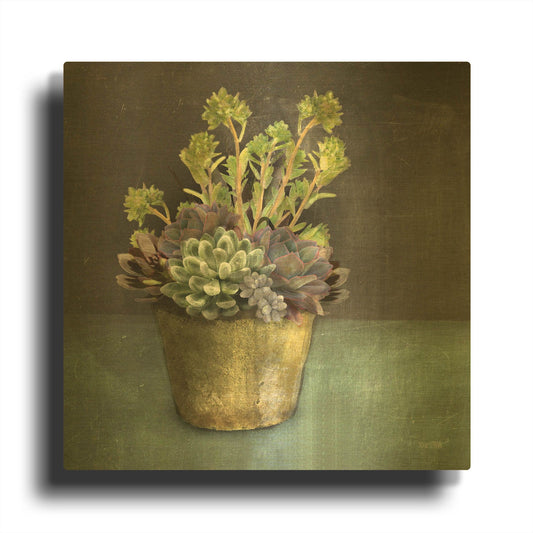 'Succulents' By House Fenway Gold Metal Wall Art