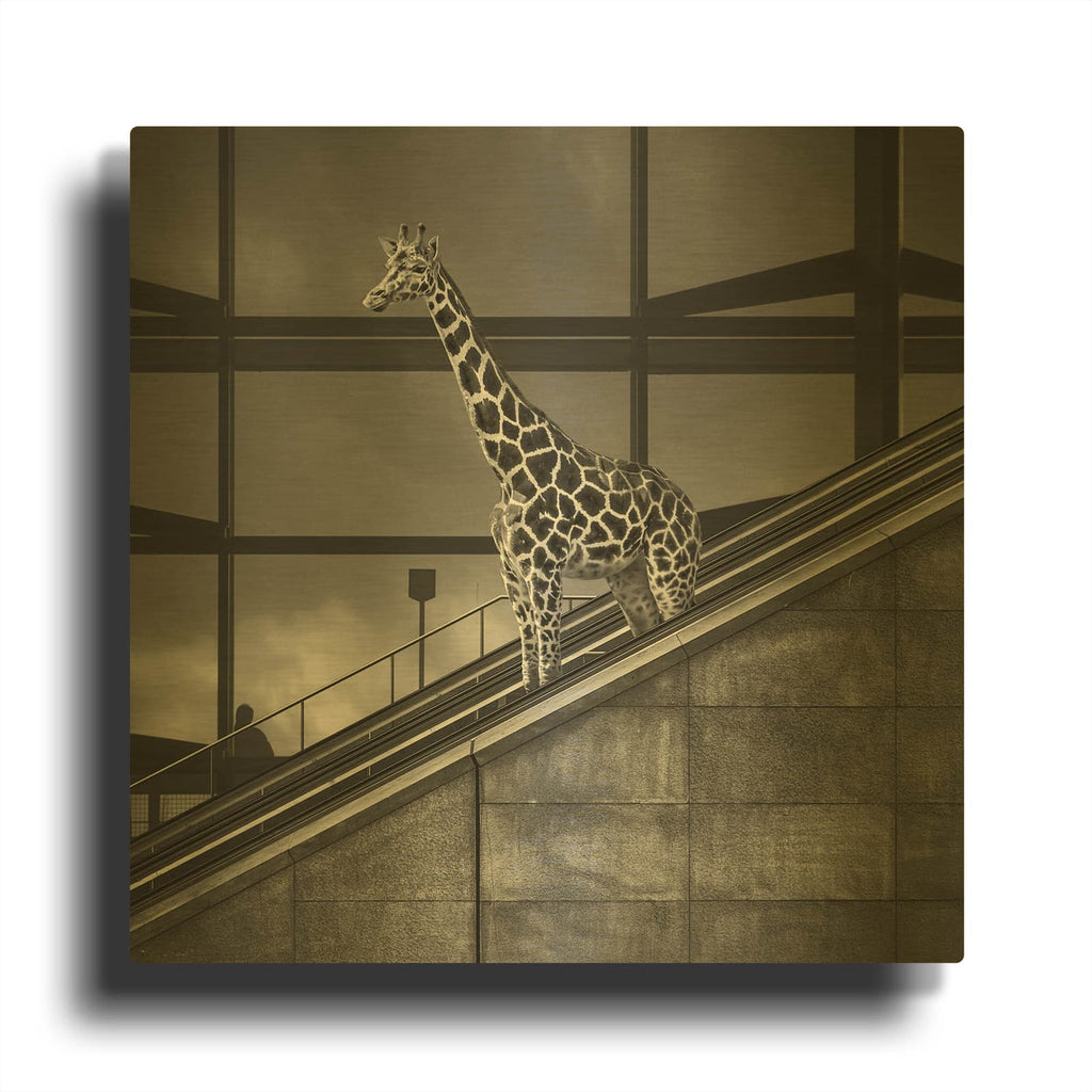 'Downstairs' By Dariusz Klimczak Gold Metal Wall Art