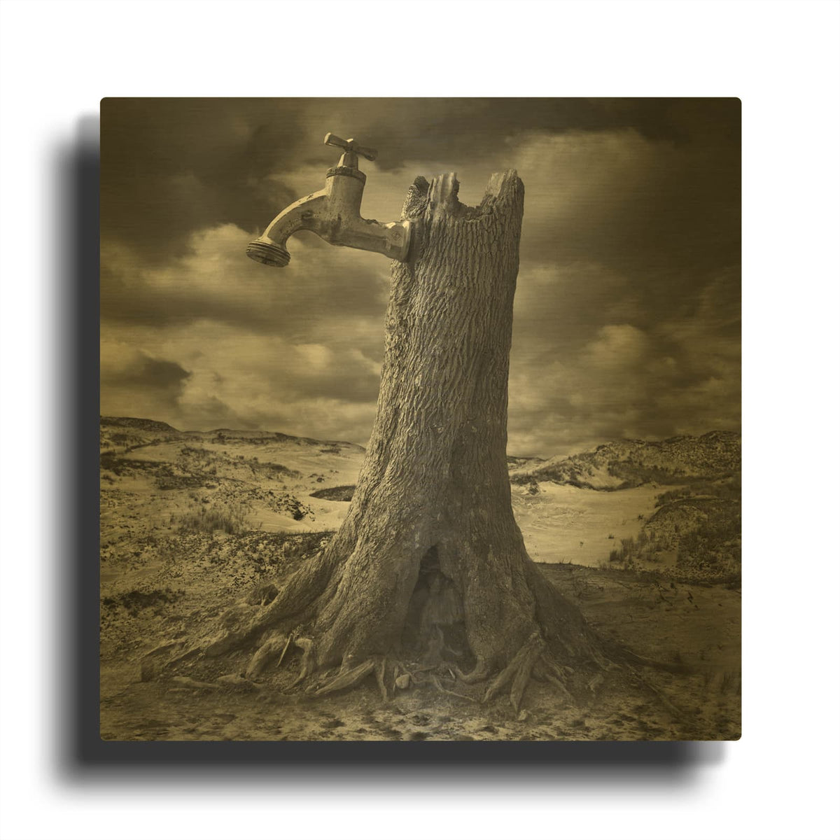 'Dry' By Dariusz Klimczak Gold Metal Wall Art