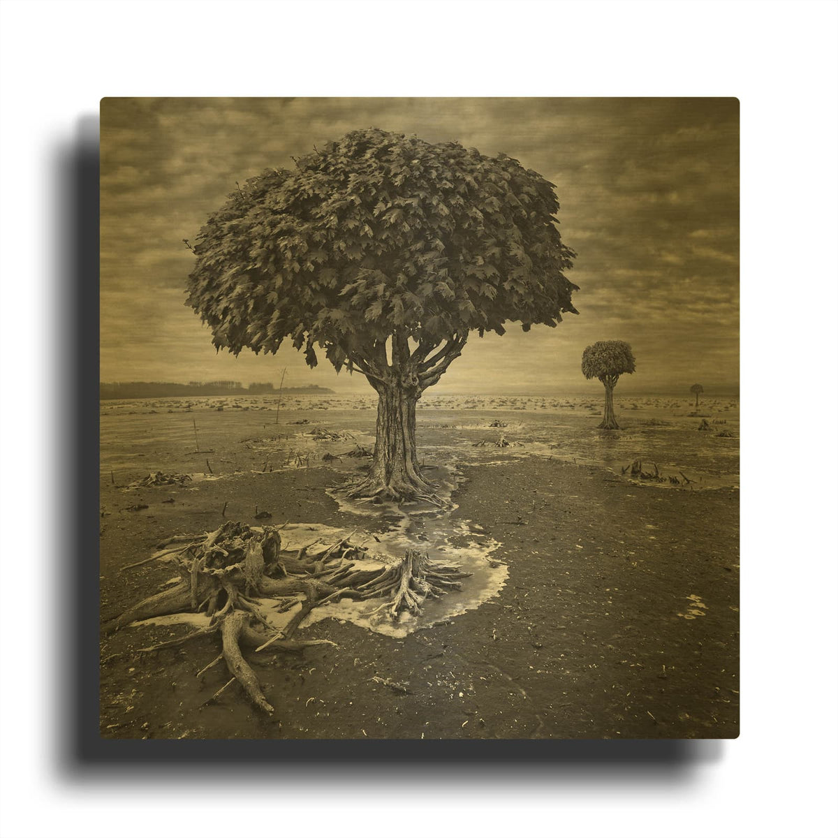 'Trees' By Dariusz Klimczak Gold Metal Wall Art