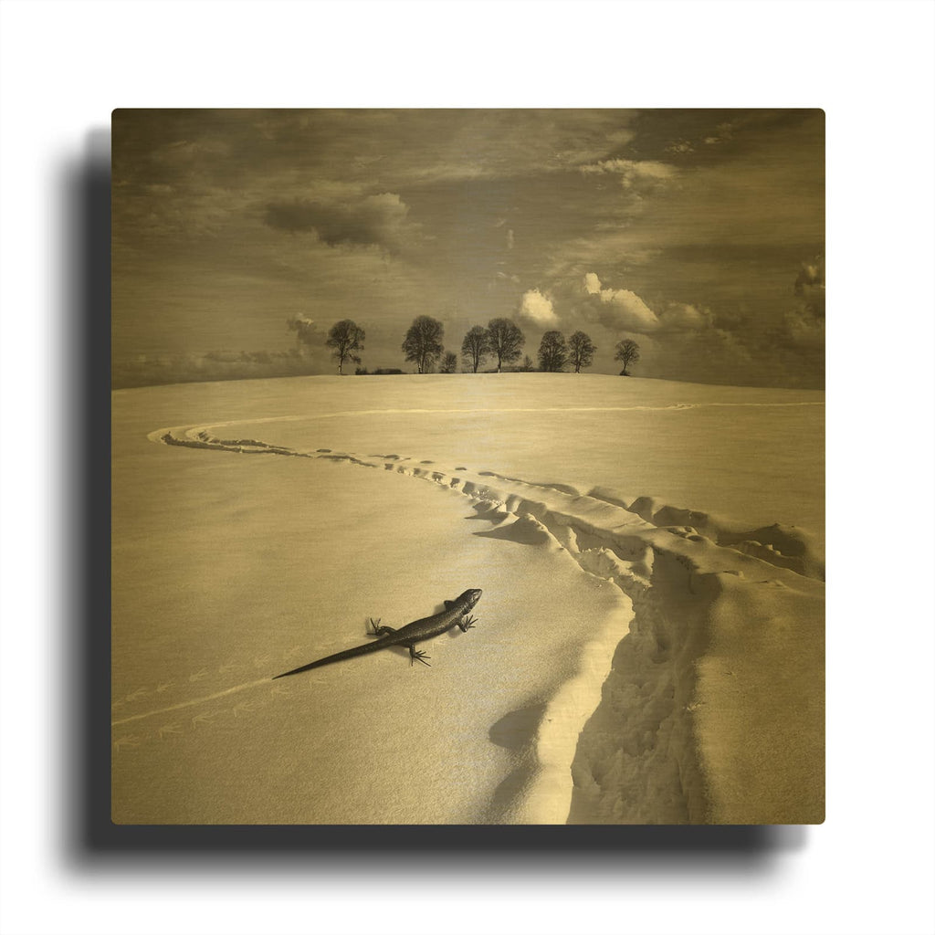 'Snowy Lizard' By Dariusz Klimczak Gold Metal Wall Art