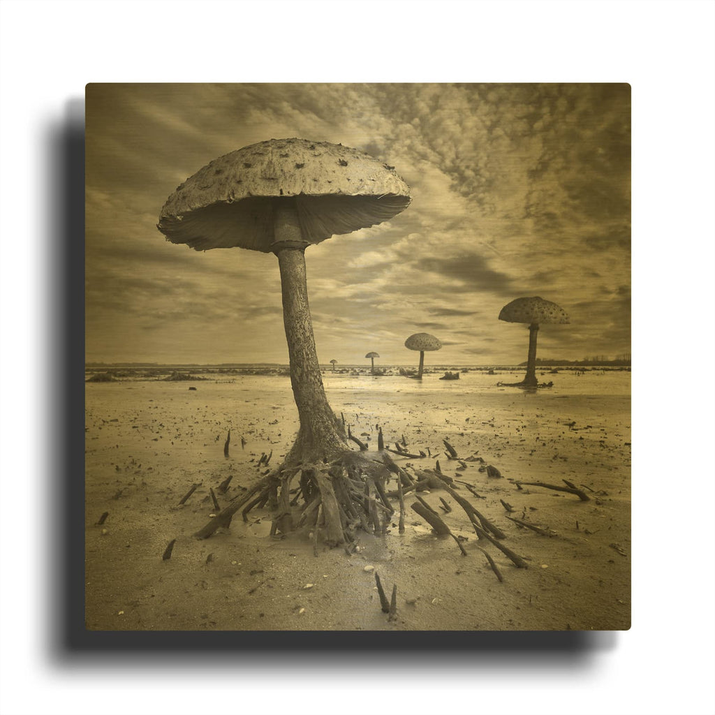 'Kanie' By Dariusz Klimczak Gold Metal Wall Art