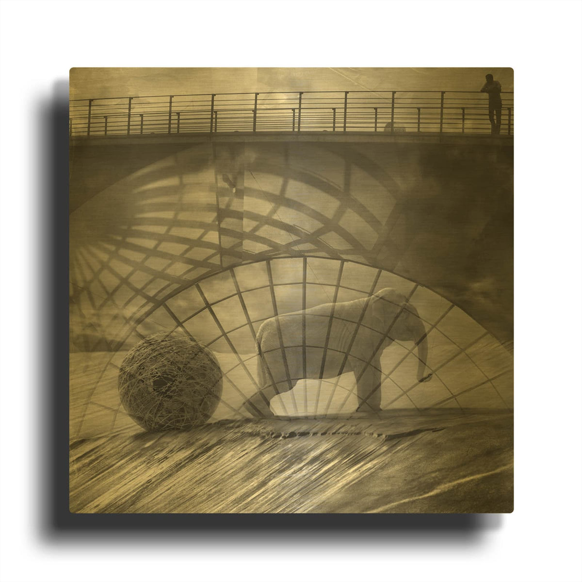 'Kingandi' By Dariusz Klimczak Gold Metal Wall Art