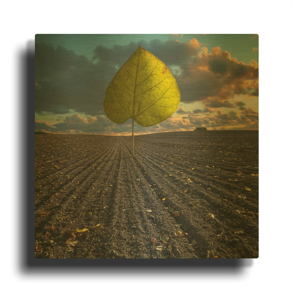 'Listen to Listek' By Dariusz Klimczak Gold Metal Wall Art