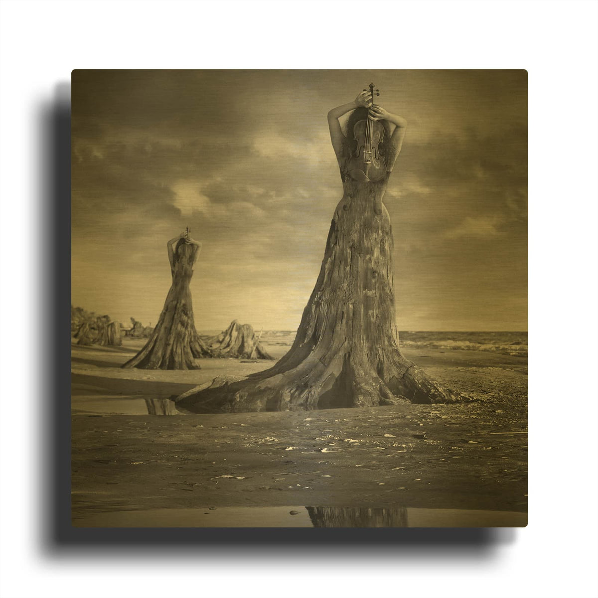 'Moll' By Dariusz Klimczak Gold Metal Wall Art